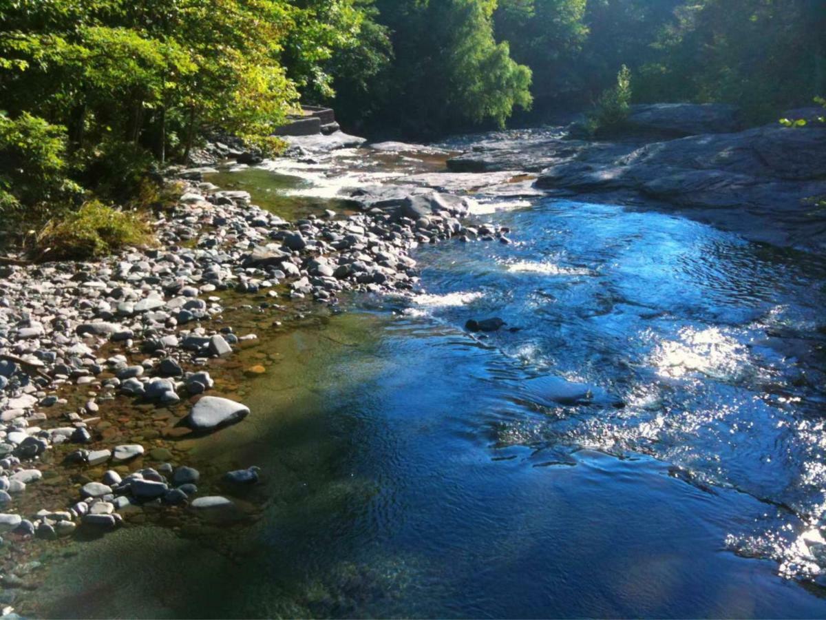 Play All Day - Sleep By The Stream At Night - Swimming Hole Palenville Экстерьер фото